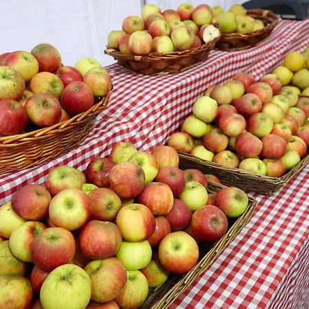 Apartament Aterian Gaztetape Ii *