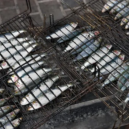 Aterian Gaztetape Ii Apartment