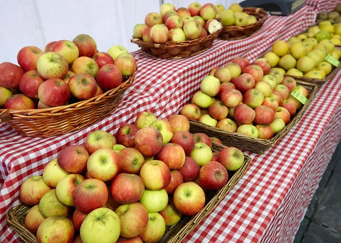 Apartment Aterian Gaztetape Ii *