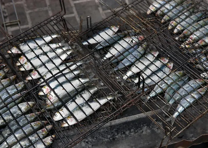 Aterian Gaztetape Ii Apartment